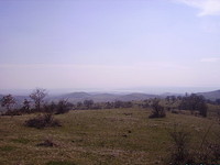 10 010 sq m Agricultural Land 31 km Away From Burgas