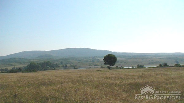 18000 Sq.m Land Near The Sea