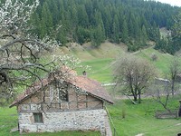 Agricultural land in Bansko