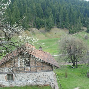 Mountain pasture with two houses near Bansko