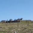 Plot for sale near river