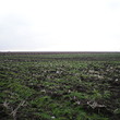 Agricultural plot of land for sale near Pmorie