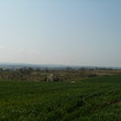 Agricultural land for sale near Bourgas