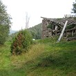 Agricultural plot of land for sale near Dospat