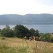Agricultural plot of land for sale near Dospat