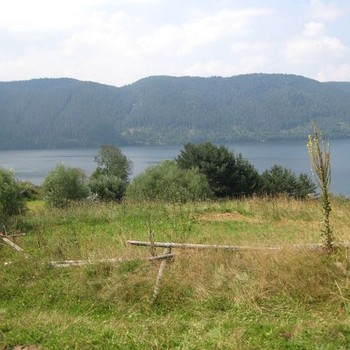 Agricultural plot of land for sale near Dospat