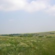 Agricultural plot of land for sale near Varna