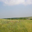 Agricultural plot of land for sale near Varna