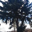 Country house for sale near Pavlikeni