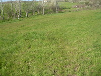 Development land in Primorsko