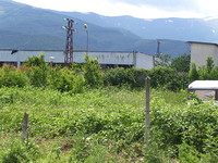 Development land in Berkovitsa