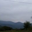 Forest for sale in a ski resort