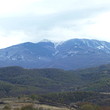 Forest for sale in a ski resort