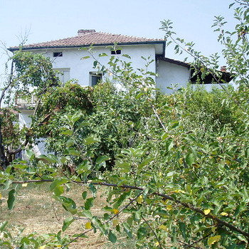 Houses in Sandanski