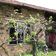 House For Sale Near Sandanski