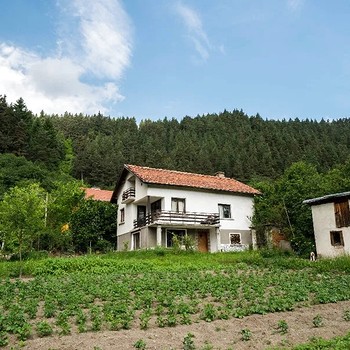 Houses in Samokov