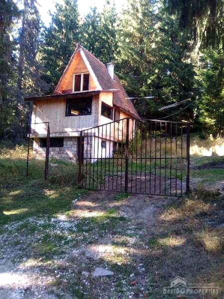 House for sale in the mountains near Dospat