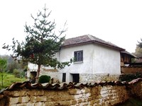 Houses in Berkovitsa