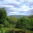 House for sale near Berkovitsa