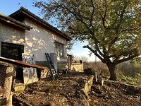 Houses in Dimitrovgrad