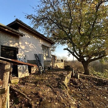 Houses in Dimitrovgrad