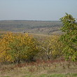 House for sale near Dobrich