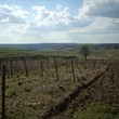 House for sale near Dobrich