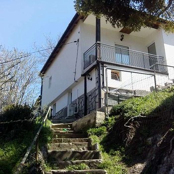 Houses in Elin Pelin