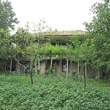 House for sale near Novi Pazar