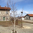 House for sale near Samokov