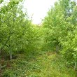 House for sale near Sandanski