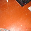 House for sale near Svishtov