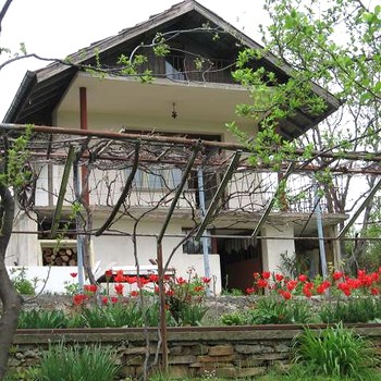 Houses in Tryavna