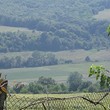 House for sale near Varna