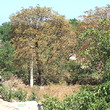 House for sale near the sea