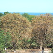 House for sale near the sea