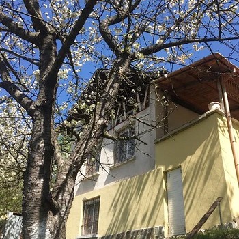 Houses in Elin Pelin