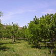 Farm land for sale near Sandanski