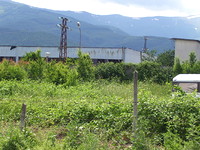 Agricultural land in Berkovitsa