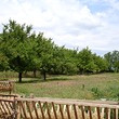 Nice House Near The Danube River