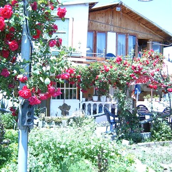 Nice Villa Near Varna