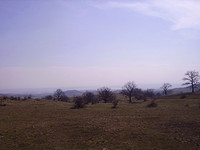 Plot Of Agricultural Land In Burgas Area