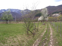 Regulated land in Berkovitsa
