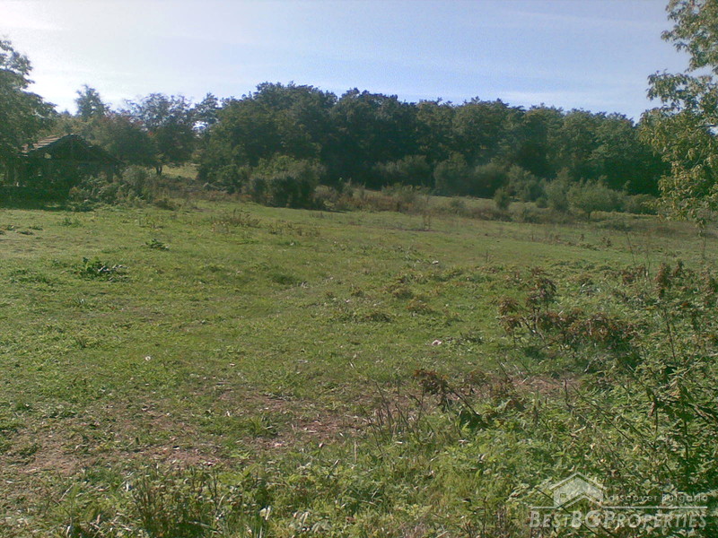 Regulated plot of land for sale near Shoumen