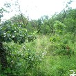 Regulated plot of land for sale with bungalow near Gabrovo