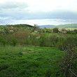 Rural House Close To A Forest