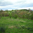 Rural House Close To A Forest