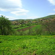 Rural House Close To A Forest