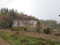 Houses in Lom