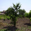 Small plot in the center of a village